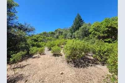 0 0 Pigeon Ridge Road, Covelo, CA 95428 - Photo 13