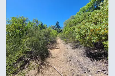0 0 Pigeon Ridge Road, Covelo, CA 95428 - Photo 5