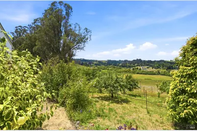 3223 Canfield Road, Sebastopol, CA 95472 - Photo 37