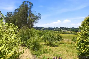 3223 Canfield Rd, Sebastopol, CA 95472 - Photo 37