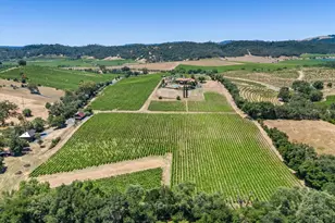 25084 Asti Rd, Geyserville, CA 95425 - Photo 71