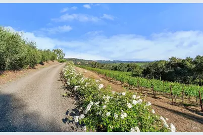 5232 Maacama Ridge Road, Healdsburg, CA 95448 - Photo 33