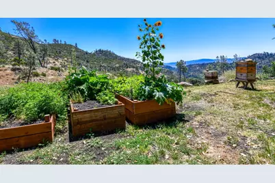 3335 Friesen Drive, Angwin, CA 94508 - Photo 47