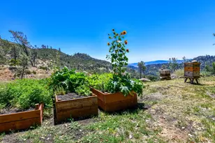 3335 Friesen Dr, Angwin, CA 94508 - Photo 47