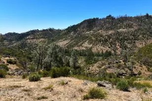 3335 Friesen Dr, Angwin, CA 94508 - Photo 71