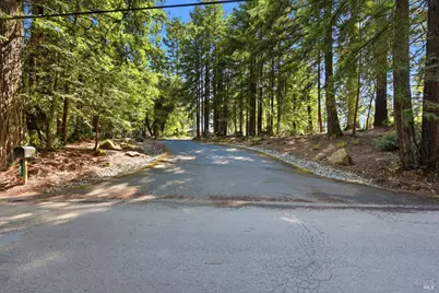 17375 Willow Creek Road, Occidental, CA 95465 - Photo 3