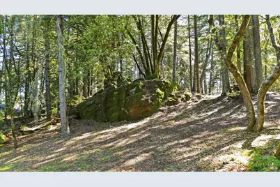 17375 Willow Creek Road, Occidental, CA 95465 - Photo 81
