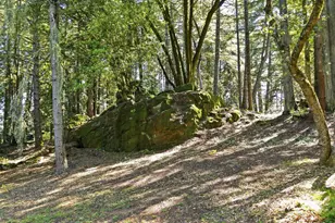 17375 Willow Creek Rd, Occidental, CA 95465 - Photo 81