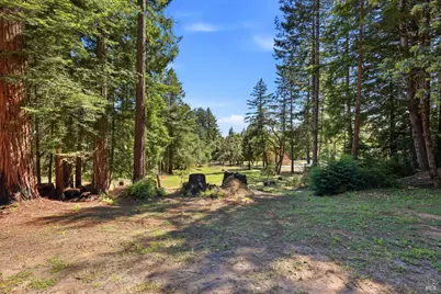 17375 Willow Creek Road, Occidental, CA 95465 - Photo 79