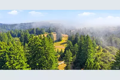 17375 Willow Creek Road, Occidental, CA 95465 - Photo 93