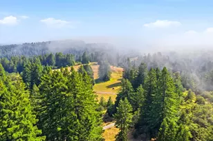 17375 Willow Creek Rd, Occidental, CA 95465 - Photo 93