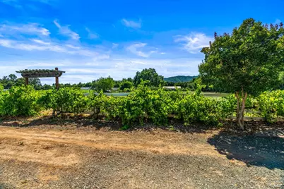 17201 Arnold Drive, Sonoma, CA 95476 - Photo 45