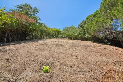 106 Walnut Avenue, Corte Madera, CA 94925 - Photo 85
