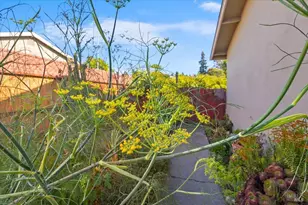 171 Alma Ave, Rohnert Park, CA 94928 - Photo 33