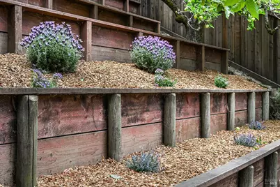 220 Laurel Avenue, San Anselmo, CA 94960 - Photo 71