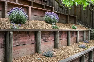 220 Laurel Ave, San Anselmo, CA 94960 - Photo 71
