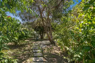 1801 Corby Ave, Santa Rosa, CA 95407 - Photo 7