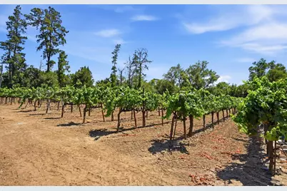 26069 River Road, Cloverdale, CA 95425 - Photo 29