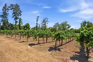 26069 River Rd, Cloverdale, CA 95425 - Photo 29