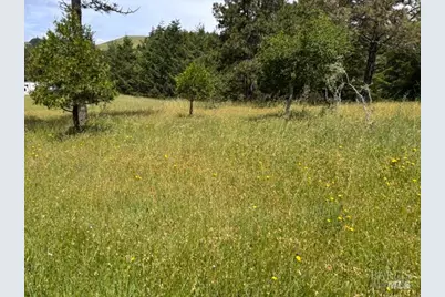 1187 Tannery Creek Road, Bodega, CA 94922 - Photo 9