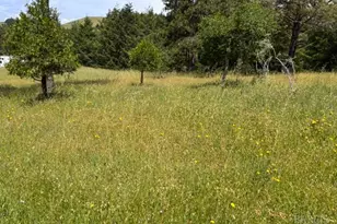 1187 Tannery Creek Rd, Bodega, CA 94922 - Photo 9
