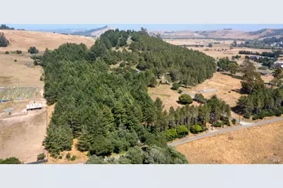 1187 Tannery Creek Road, Bodega, CA 94922 - Photo 19