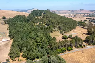 1187 Tannery Creek Rd, Bodega, CA 94922 - Photo 19