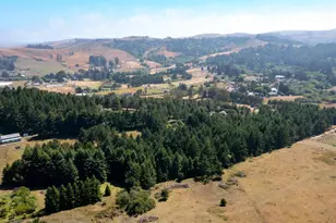 1187 Tannery Creek Rd, Bodega, CA 94922 - Photo 21