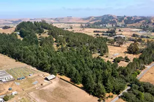 1187 Tannery Creek Rd, Bodega, CA 94922 - Photo 17