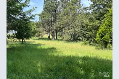 1187 Tannery Creek Road, Bodega, CA 94922 - Photo 7