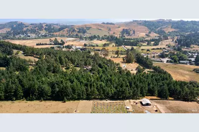 1187 Tannery Creek Road, Bodega, CA 94922 - Photo 21