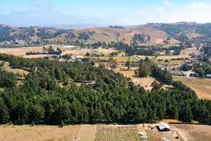 1187 Tannery Creek Rd, Bodega, CA 94922 - Photo 21