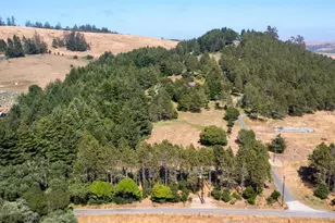 1187 Tannery Creek Rd, Bodega, CA 94922 - Photo 15