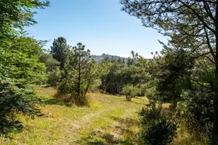 1187 Tannery Creek Rd, Bodega, CA 94922 - Photo 79