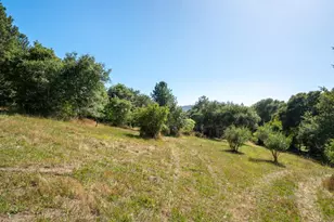 1187 Tannery Creek Rd, Bodega, CA 94922 - Photo 77