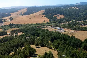 1187 Tannery Creek Rd, Bodega, CA 94922 - Photo 23