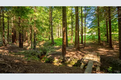 1187 Tannery Creek Road, Bodega, CA 94922 - Photo 93