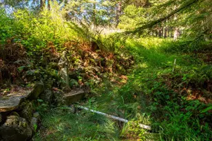 1187 Tannery Creek Rd, Bodega, CA 94922 - Photo 93