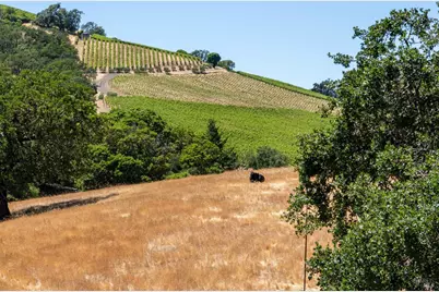 13451 Rockpile Road, Healdsburg, CA 95448 - Photo 67
