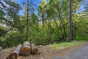 17097 Dogwood Way, Middletown, CA 95461 - Photo 31