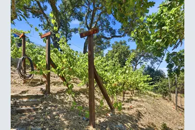 31 Roca Court, Novato, CA 94947 - Photo 35