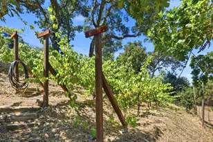 31 Roca Ct, Novato, CA 94947 - Photo 35
