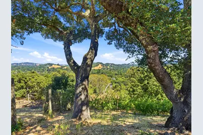 31 Roca Court, Novato, CA 94947 - Photo 37