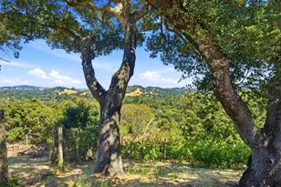 31 Roca Ct, Novato, CA 94947 - Photo 37
