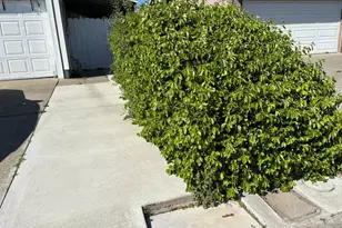 2772 Toland Dr, Fairfield, CA 94534 - Photo 3