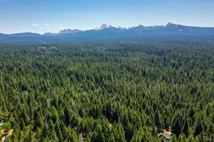 8308 Lost Mill Rd, Shingletown, CA 96088 - Photo 59