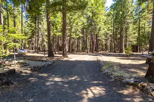 8308 Lost Mill Rd, Shingletown, CA 96088 - Photo 53