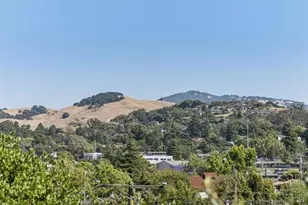 15 Brainerd Ave, Petaluma, CA 94952 - Photo 67