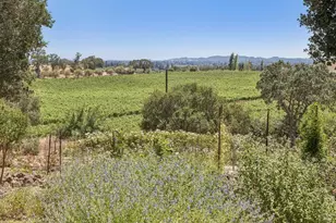 1035 Loma Vista Dr, Napa, CA 94558 - Photo 85