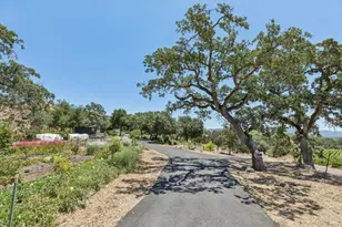 1035 Loma Vista Dr, Napa, CA 94558 - Photo 91
